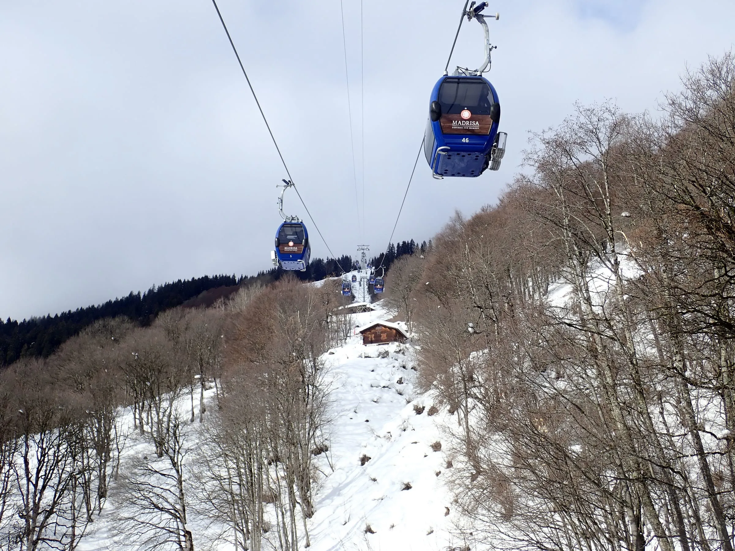 Gondola cabins of the Klosters-Madrisa lift climbing above snowy trees