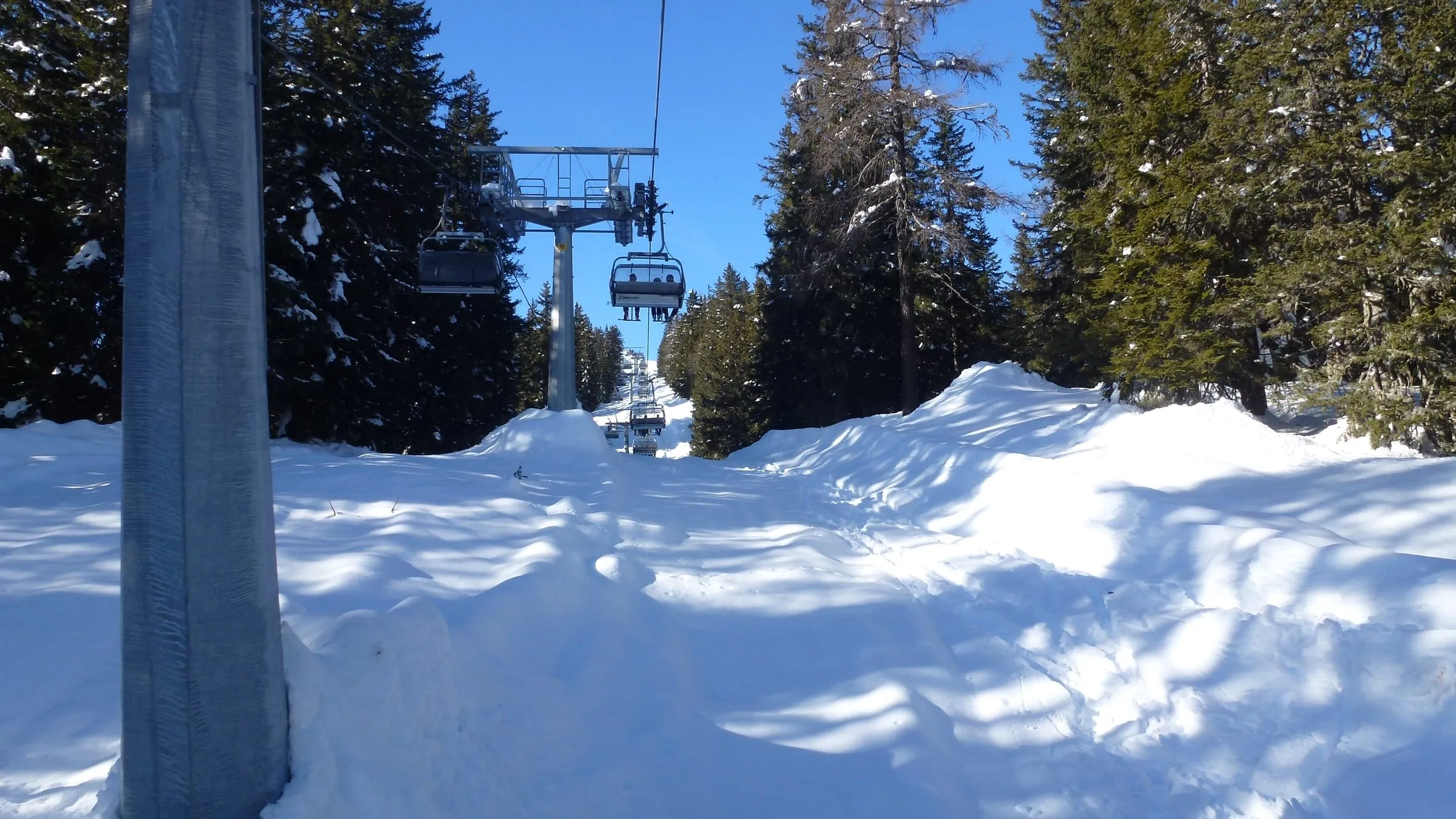 The Fortini chairlift through snowy forest in Madonna di Campiglio