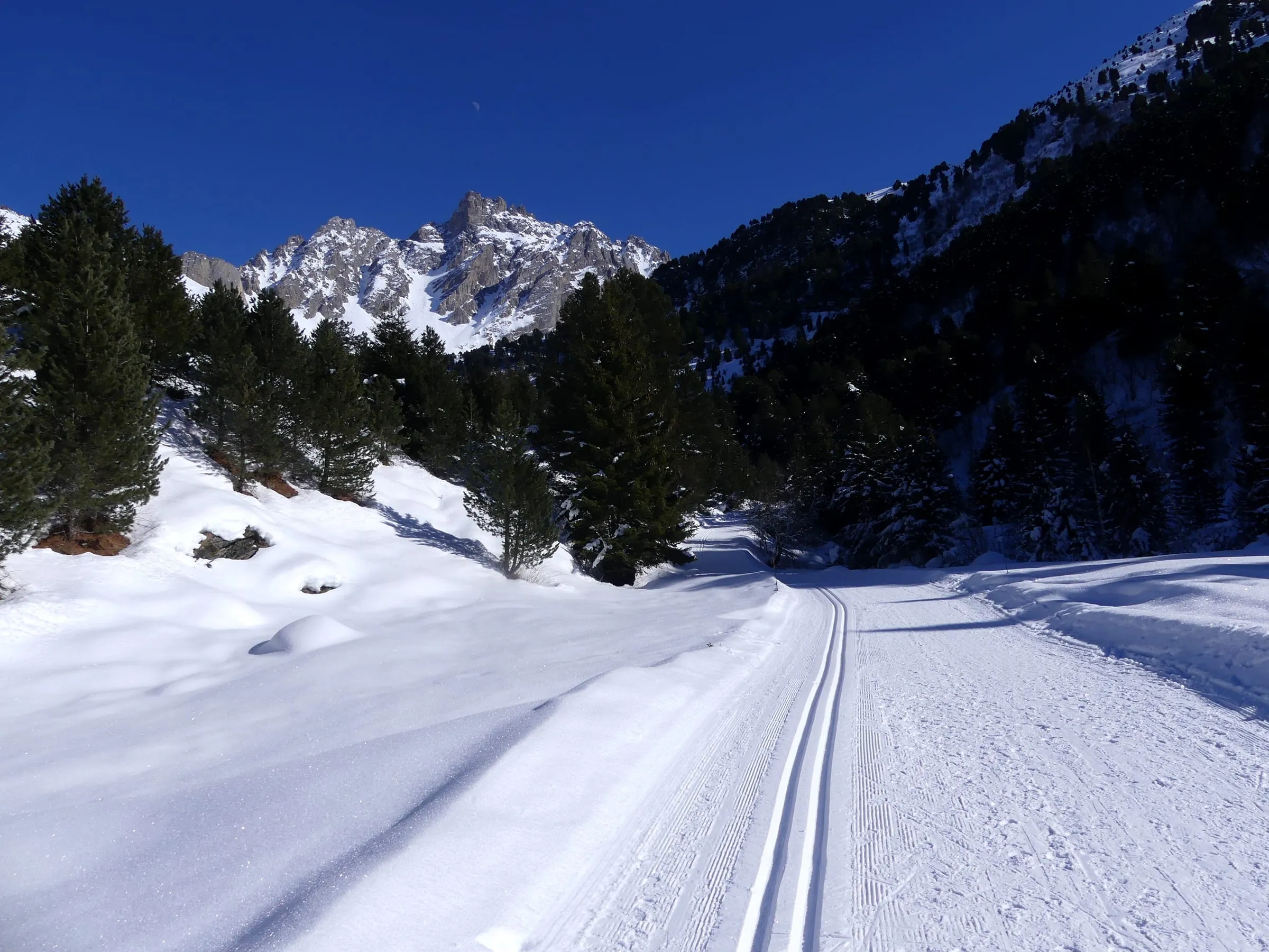 Groomed cross-country ski tracks through the forest in the Tuéda nature reserve, Méribel