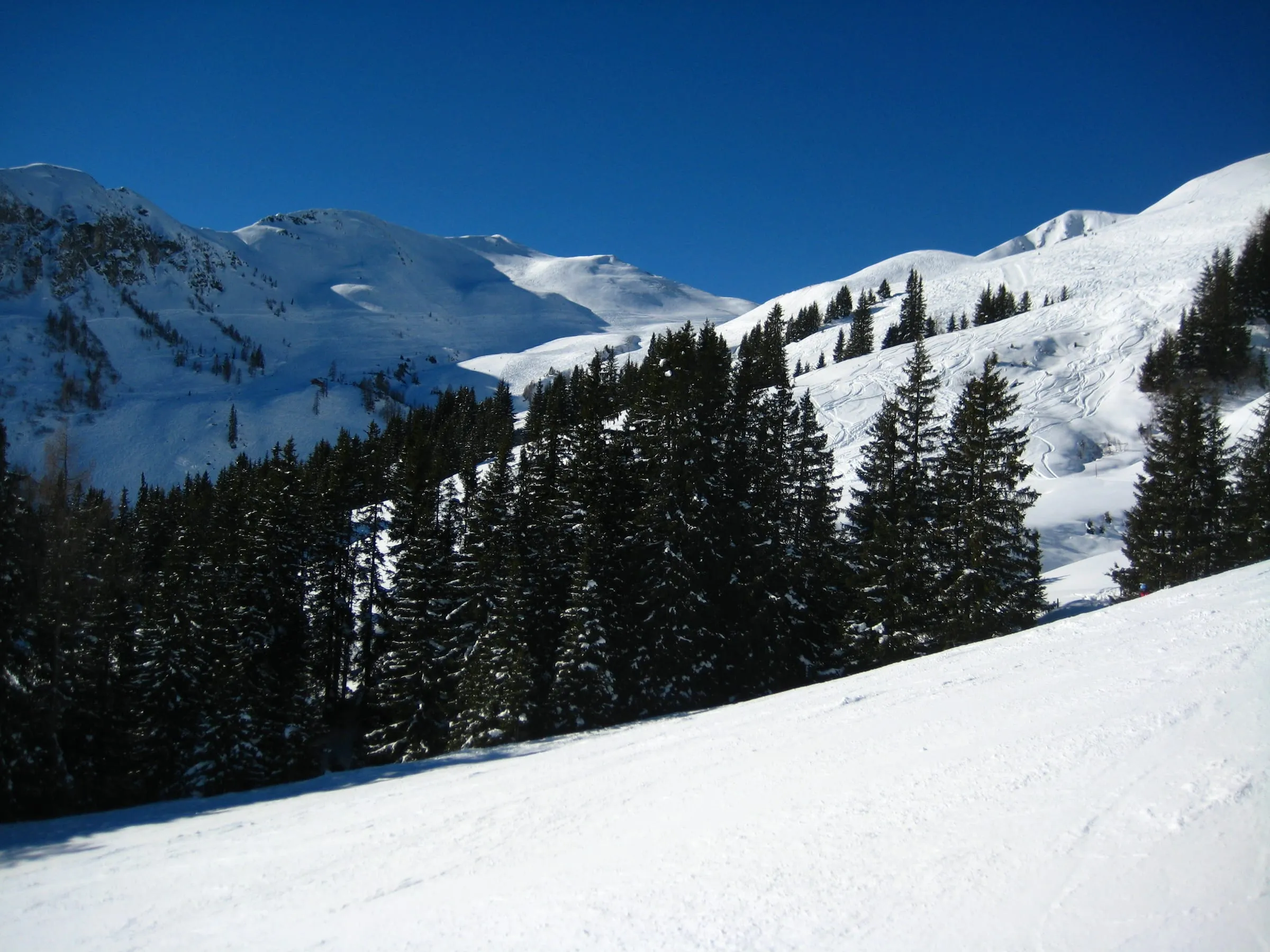 Snowy open slopes of the Seekar in the Hinterglemm ski area under a blue sky