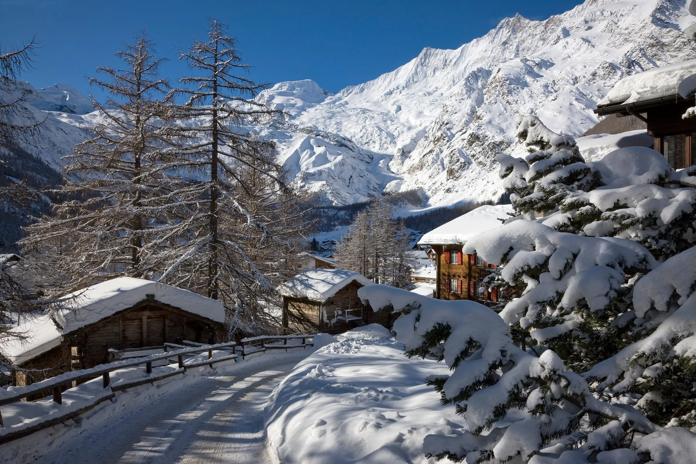 Snow-covered wooden chalets and larches on a lane in Saas-Fee