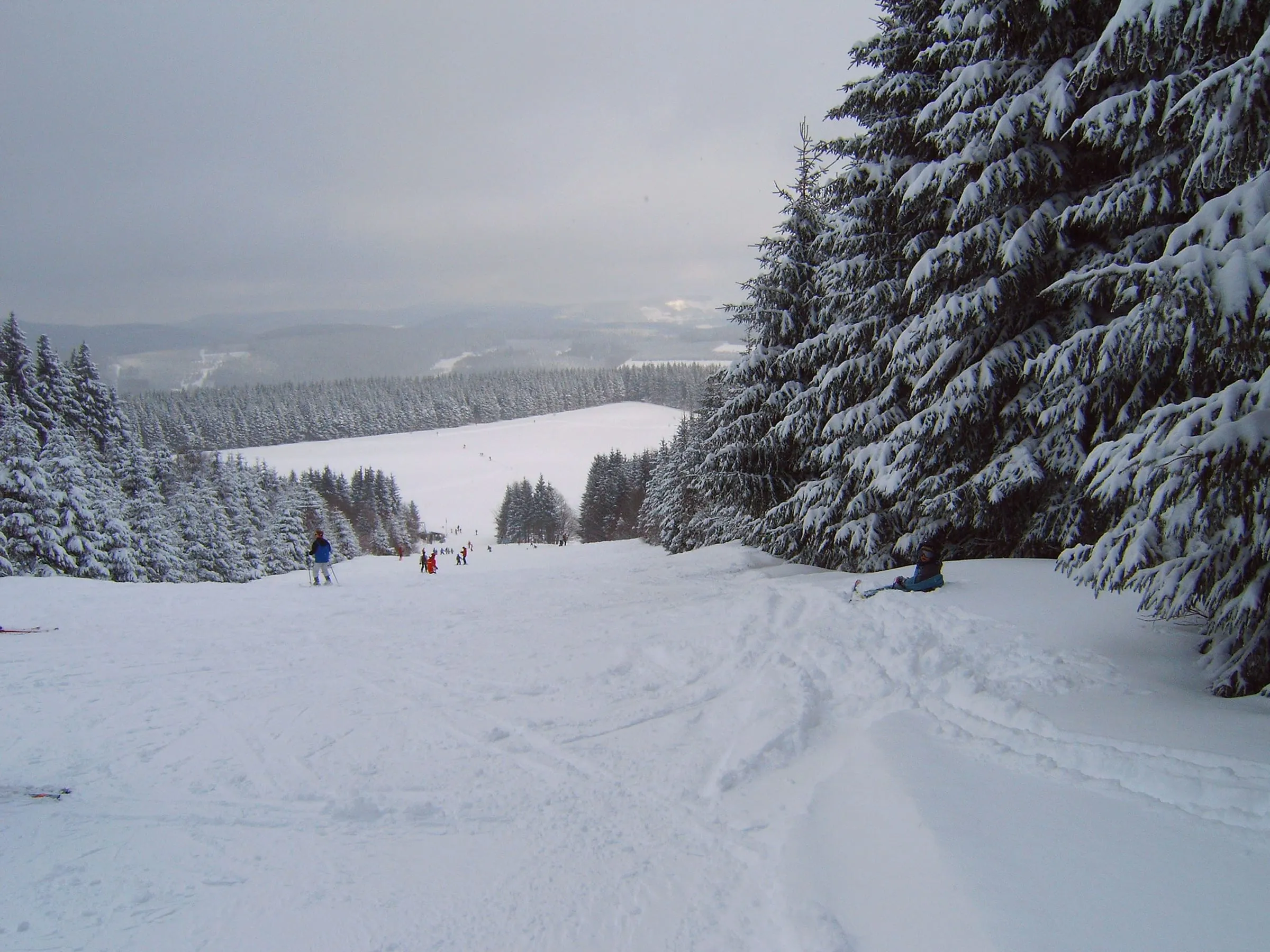 A snowy piste in Winterberg after natural snowfall, lined with snow-laden spruce trees